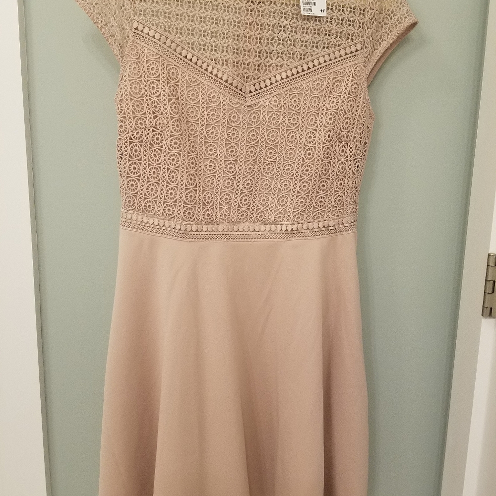 NWT, H&M Blush colored dress